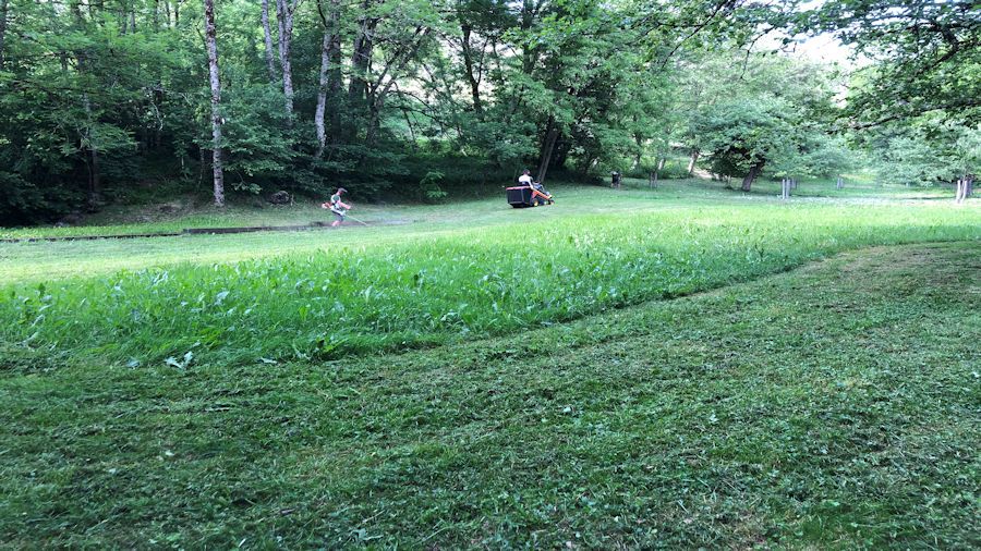 diaporama Niwaki tonte parc